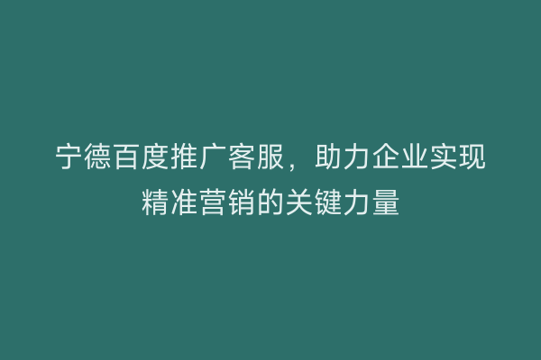 宁德百度推广客服,助力企业实现精准营销的关键力量