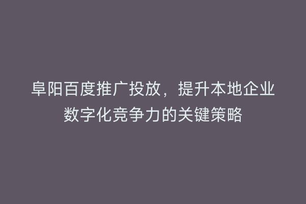 阜阳百度推广投放,提升本地企业数字化竞争力的关键策略