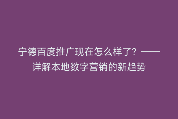 宁德百度推广现在怎么样了?——详解本地数字营销的新趋势