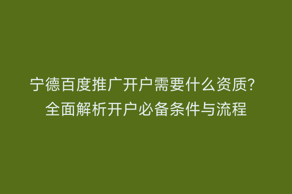 宁德百度推广开户需要什么资质？全面解析开户必备条件与流程