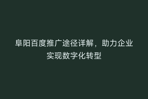 阜阳百度推广途径详解,助力企业实现数字化转型