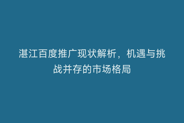 湛江百度推广现状解析,机遇与挑战并存的市场格局
