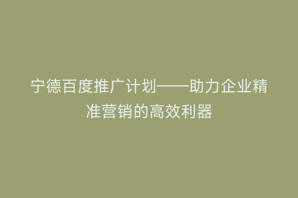 宁德百度推广计划——助力企业精准营销的高效利器