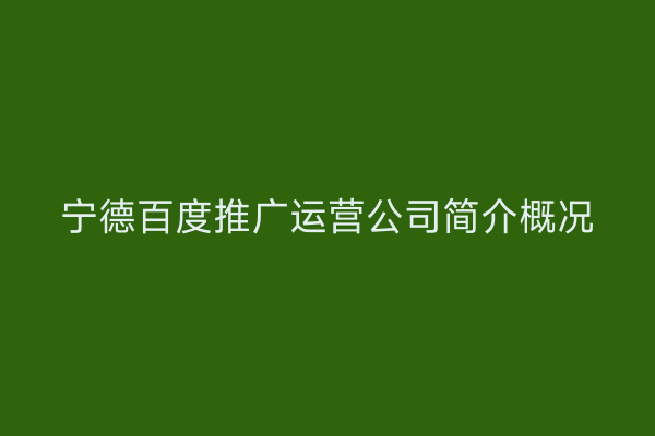 宁德百度推广运营公司简介概况