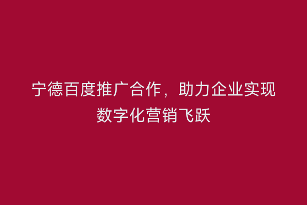 宁德百度推广合作,助力企业实现数字化营销飞跃
