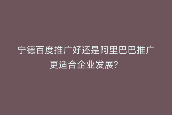 宁德百度推广好还是阿里巴巴推广更适合企业发展？