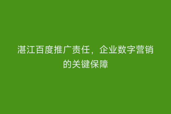 湛江百度推广责任,企业数字营销的关键保障