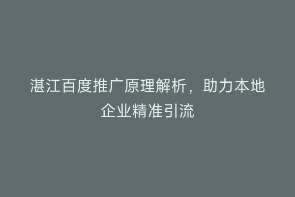 湛江百度推广原理解析,助力本地企业精准引流