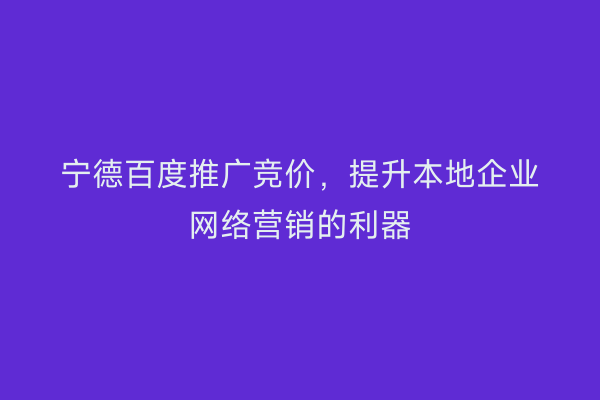 宁德百度推广竞价,提升本地企业网络营销的利器