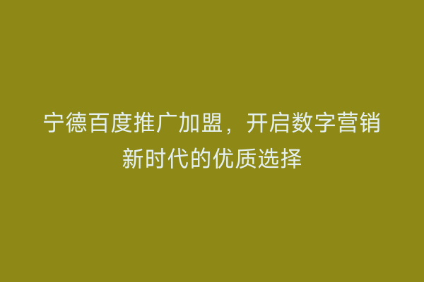 宁德百度推广加盟,开启数字营销新时代的优质选择