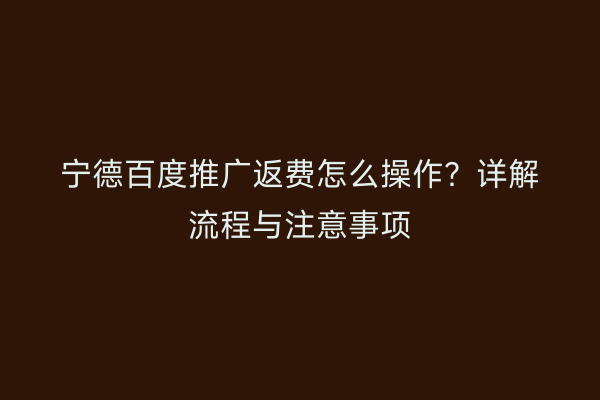 宁德百度推广返费怎么操作?详解流程与注意事项
