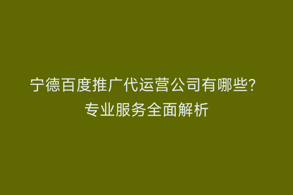 宁德百度推广代运营公司有哪些?专业服务全面解析