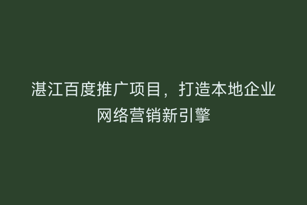 湛江百度推广项目,打造本地企业网络营销新引擎