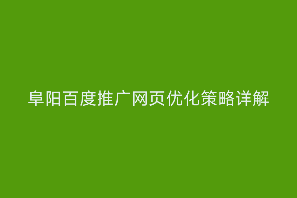 阜阳百度推广网页优化策略详解