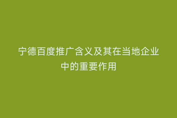 宁德百度推广含义及其在当地企业中的重要作用