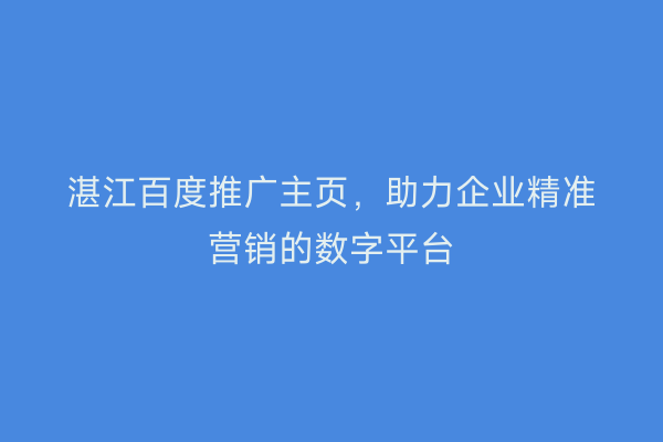 湛江百度推广主页,助力企业精准营销的数字平台