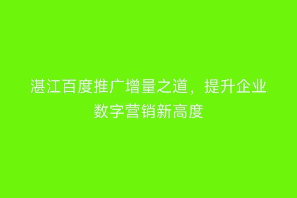 湛江百度推广增量之道,提升企业数字营销新高度