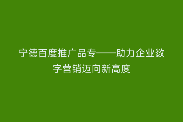 宁德百度推广品专——助力企业数字营销迈向新高度
