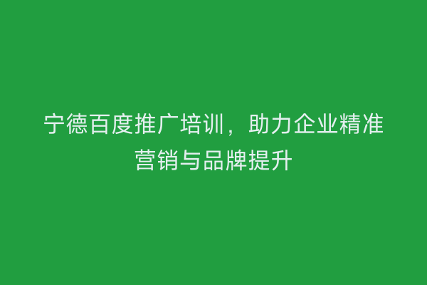 宁德百度推广培训,助力企业精准营销与品牌提升