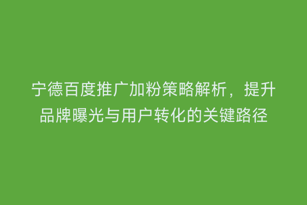 宁德百度推广加粉策略解析,提升品牌曝光与用户转化的关键路径