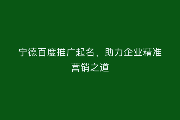 宁德百度推广起名,助力企业精准营销之道
