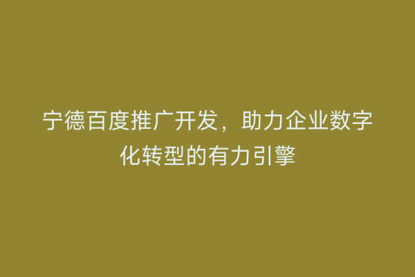 宁德百度推广开发,助力企业数字化转型的有力引擎