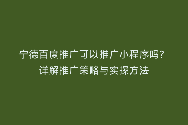 宁德百度推广可以推广小程序吗?详解推广策略与实操方法