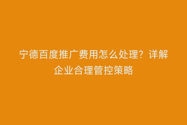 宁德百度推广费用怎么处理?详解企业合理管控策略
