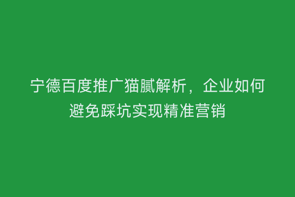 宁德百度推广猫腻解析,企业如何避免踩坑实现精准营销