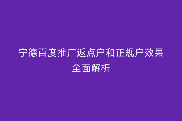 宁德百度推广返点户和正规户效果全面解析