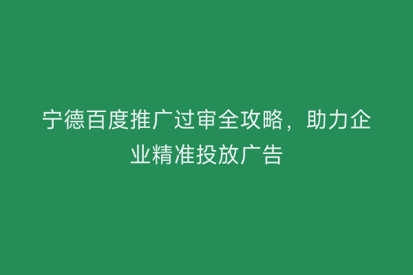 宁德百度推广过审全攻略,助力企业精准投放广告