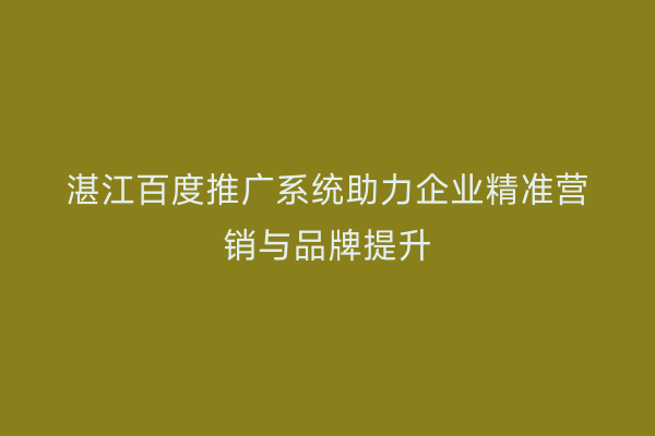 湛江百度推广系统助力企业精准营销与品牌提升