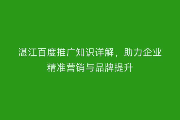 湛江百度推广知识详解,助力企业精准营销与品牌提升