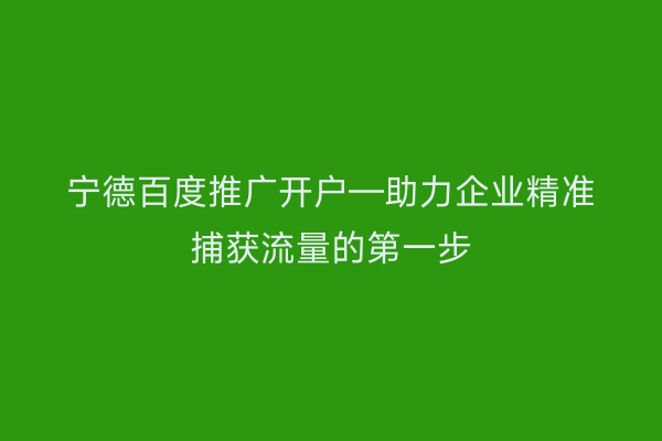 宁德百度推广开户—助力企业精准捕获流量的第一步
