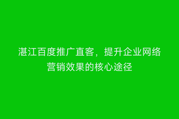 湛江百度推广直客,提升企业网络营销效果的核心途径