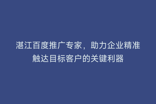 湛江百度推广专家,助力企业精准触达目标客户的关键利器