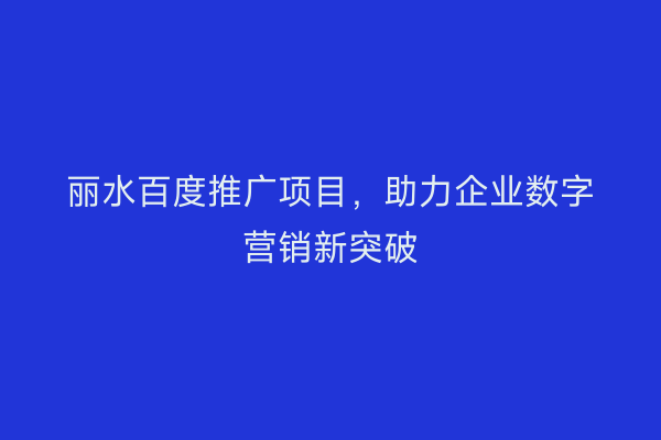 丽水百度推广项目,助力企业数字营销新突破