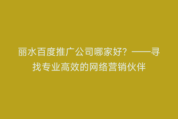 丽水百度推广公司哪家好?——寻找专业高效的网络营销伙伴