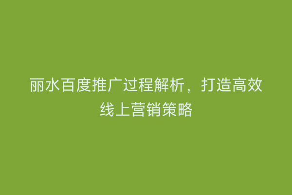 丽水百度推广过程解析,打造高效线上营销策略