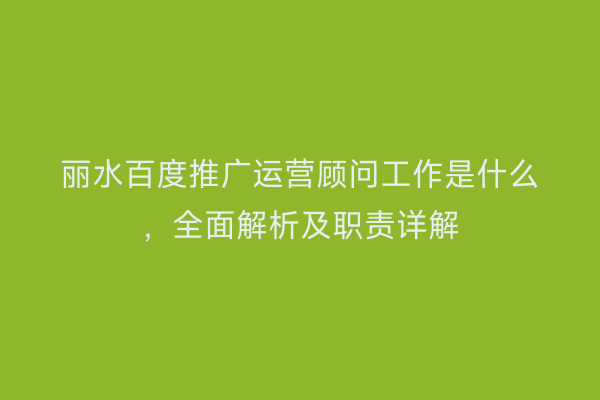 丽水百度推广运营顾问工作是什么,全面解析及职责详解