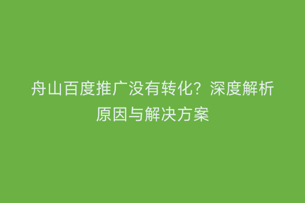 舟山百度推广没有转化?深度解析原因与解决方案