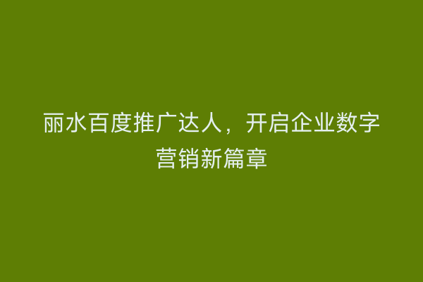 丽水百度推广达人，开启企业数字营销新篇章