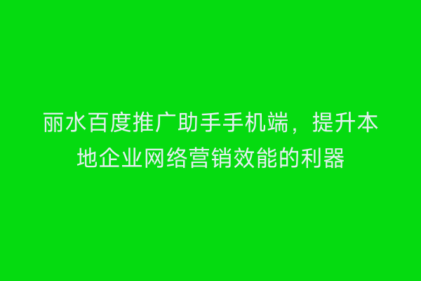 丽水百度推广助手手机端,提升本地企业网络营销效能的利器