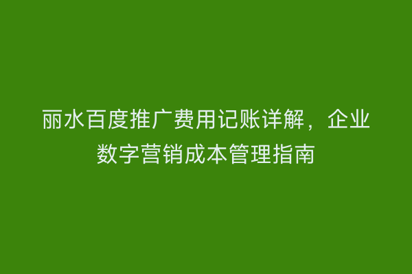 丽水百度推广费用记账详解,企业数字营销成本管理指南