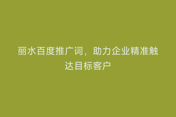 丽水百度推广词,助力企业精准触达目标客户