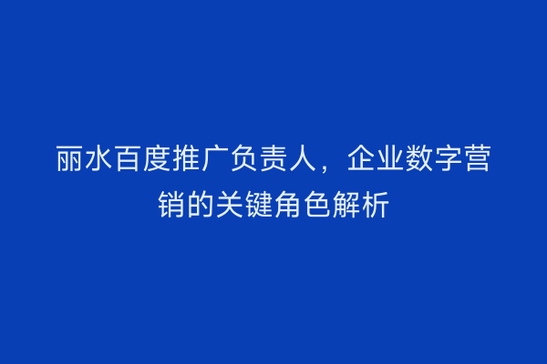 丽水百度推广负责人,企业数字营销的关键角色解析