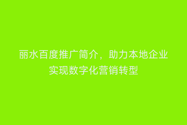 丽水百度推广简介,助力本地企业实现数字化营销转型