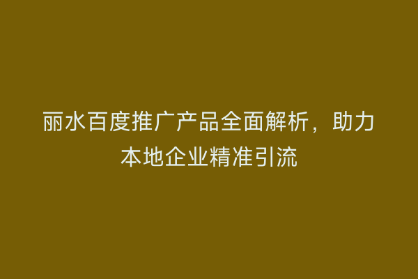 丽水百度推广产品全面解析,助力本地企业精准引流
