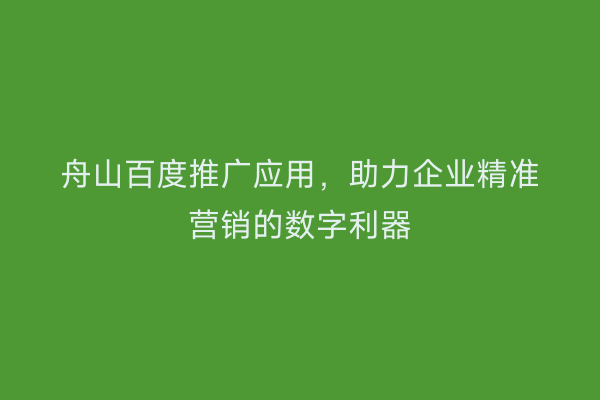 舟山百度推广应用，助力企业精准营销的数字利器