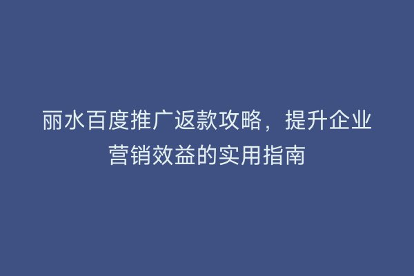 丽水百度推广返款攻略,提升企业营销效益的实用指南